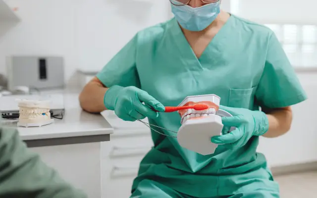 Dental professional demonstrating correct tooth brushing on a dental model